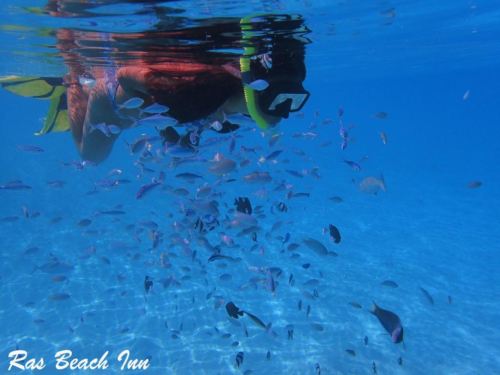 Ras Beach Inn Rasdhoo Exterior foto