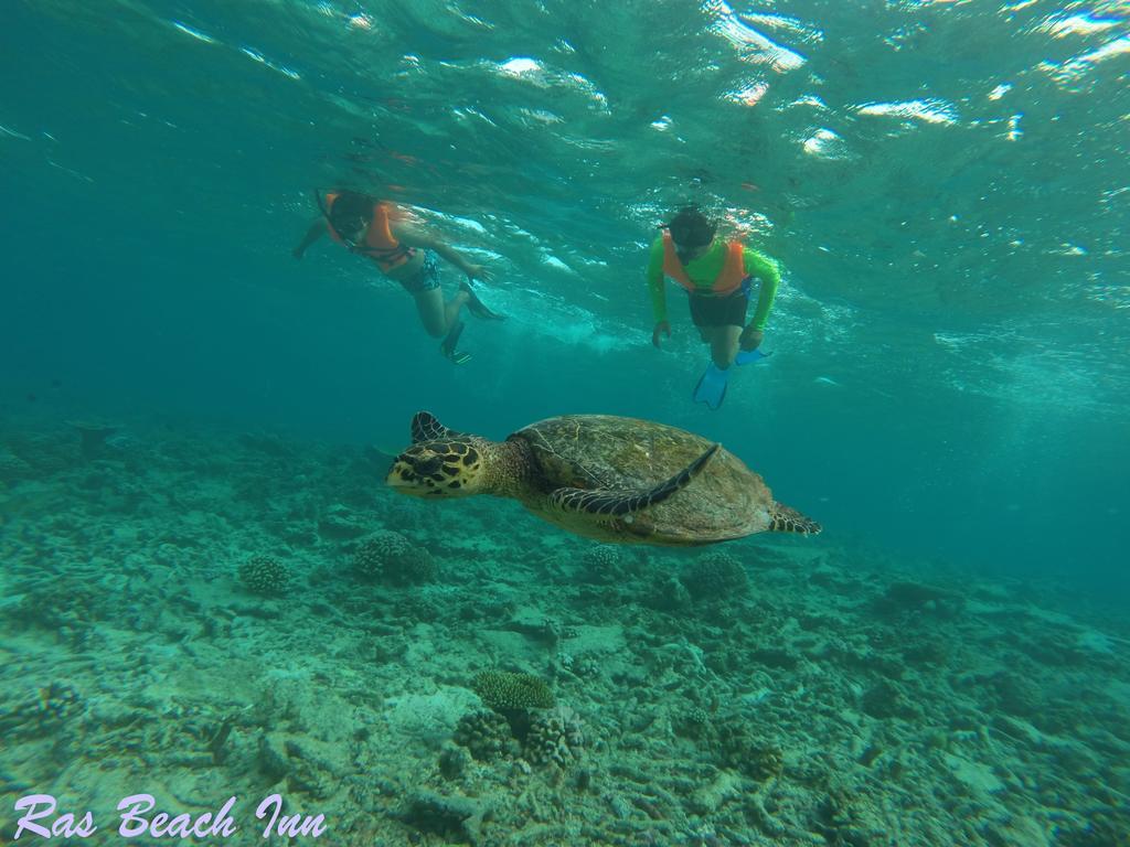 Ras Beach Inn Rasdhoo Exterior foto