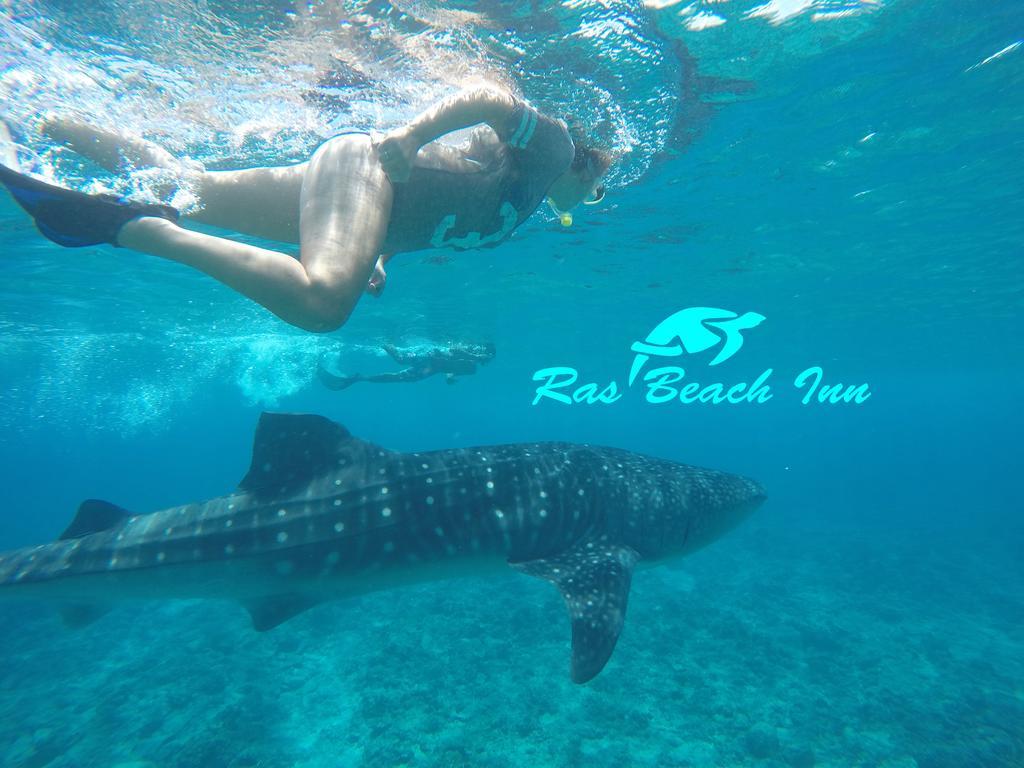 Ras Beach Inn Rasdhoo Exterior foto